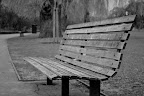 DSC_0103.JPG