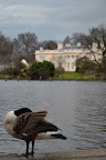 DSC_0108.JPG