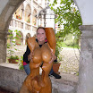Burg Strechau 7.jpg