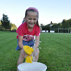 04_Wasserschwamm_07.jpg