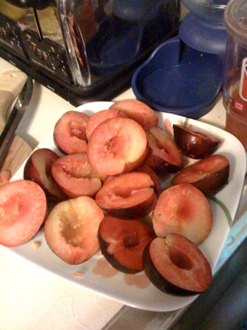 [plum3[2].jpg]