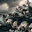 wwf_02.jpg