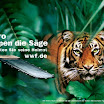 wwf_46.jpg