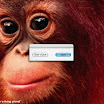 wwf_34.jpg