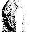 01-060.jpg