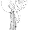 02-091.jpg