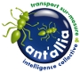 Aper�u de : Ant'allia : intelligence collective