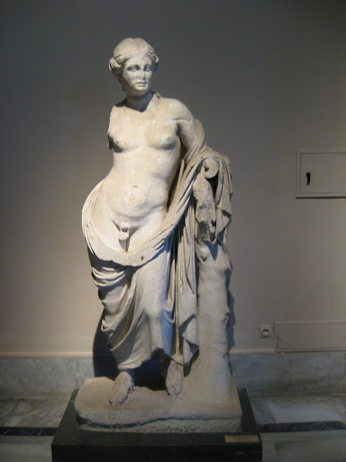 hermaphrodite photos human