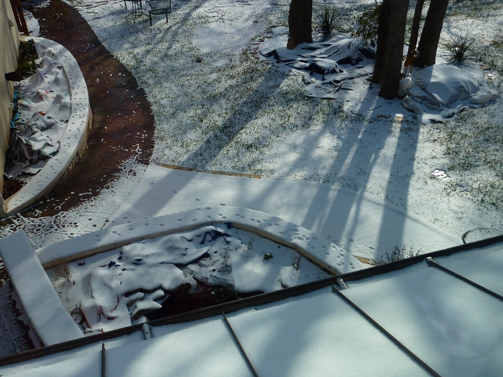 [P1030882[3].jpg]