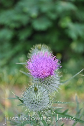 [DSC_00146.jpg]