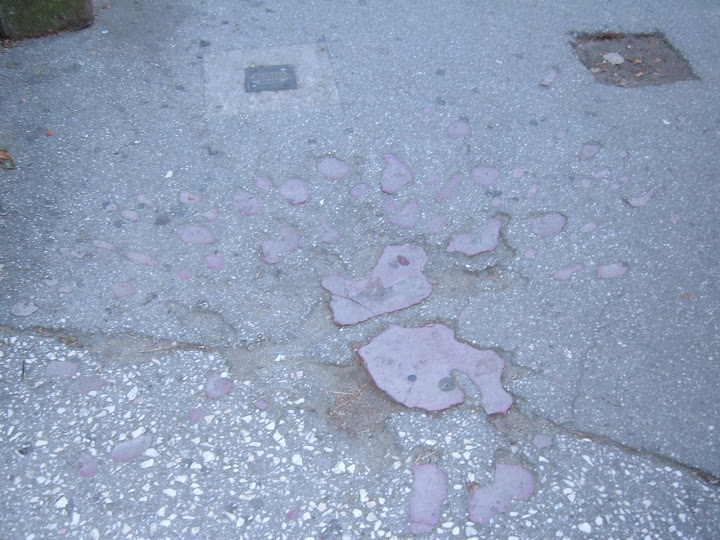 A Sarajevo Rose - Site Where a Mortar Killed Someone