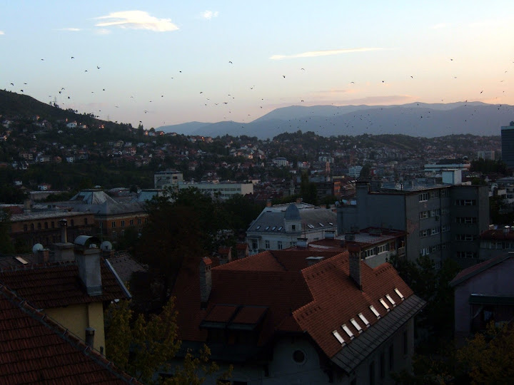 Birds Over Sarajevo