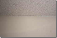 IMG_0868c