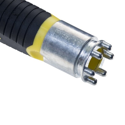 [Purdy CloseUp six prong[1].jpg]