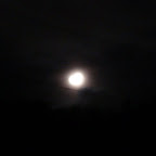 Una luna llena, estaba nublado así que no pude ver si el conejo estaba al revés o veía otra silueta como dicen que sucede.