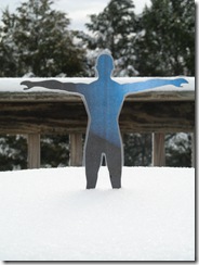 In the Snow. Melted by noon