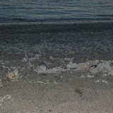 Viele Korallen-Stücke am Strand erschweren das Laufen