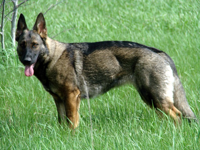 [Brita.Ari.yard.5.5.08-27[8].jpg]