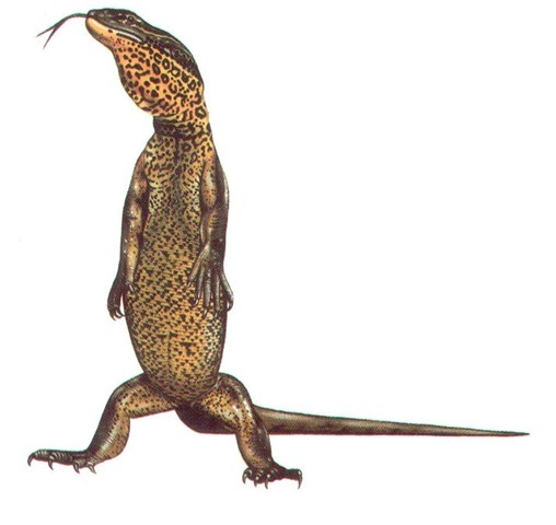 GOULD'S MONITOR 