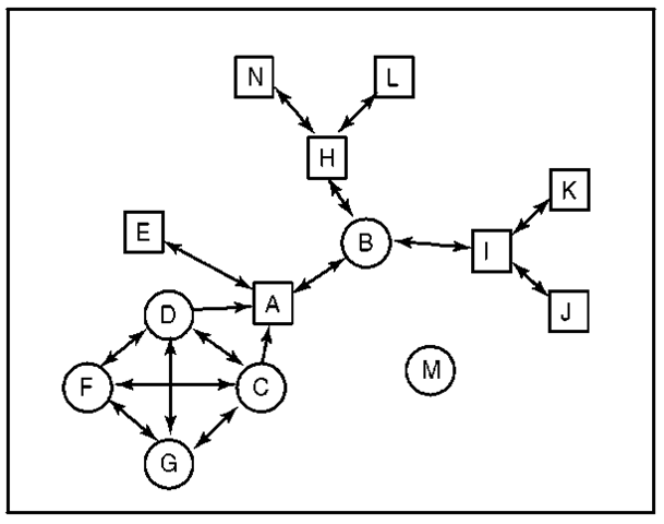 A Social Network Diagram 