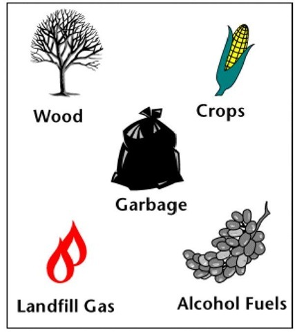 Types of Biomass 