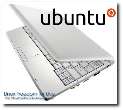 Samsung N10 Ubuntu