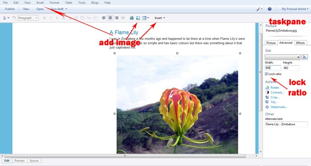 [Windows-Live-Writer---Adding-Large-Blogger-Images[7].jpg]