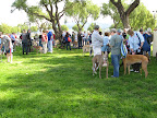Lotsa sharing and storytelling going on while waiting for the blessing to start.