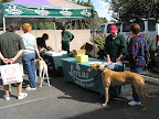 Finishing registration and getting some last minute event information