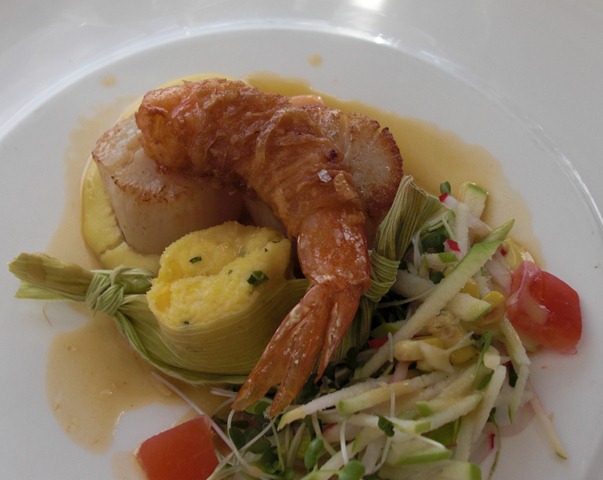 [AUKandWaihekeIsland20100935.jpg]