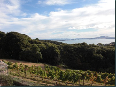 View from the terrace at MudBrick Restaurant, Waiheke Island, New Zealand