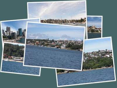 View Sydney Harbor Cruise