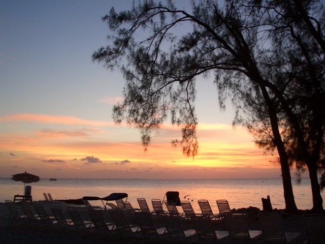 [Picture 172[5].jpg]