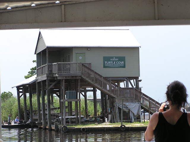 Turtle Cove Research Station - Office Space