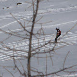 IMG_3349.JPG