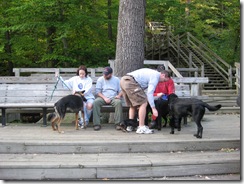 Picture 027