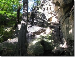 Picture 020
