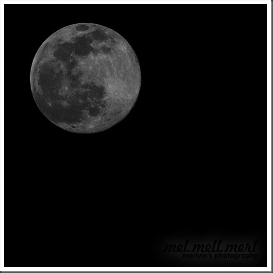 SONY DSC