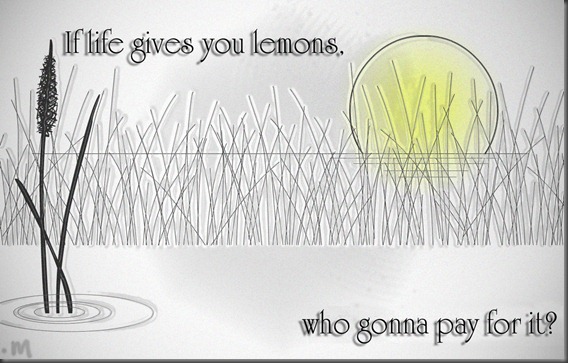 A Lemon's Life