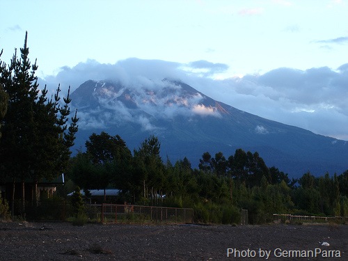[calbuco-chile-habitat-kodkod-cat[14].jpg]
