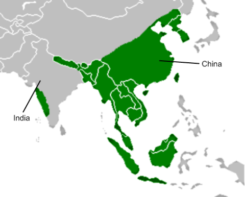 [wikipedia-asian-Leopard-cat-range[3].png]