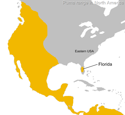 [puma ran ge[12].png]