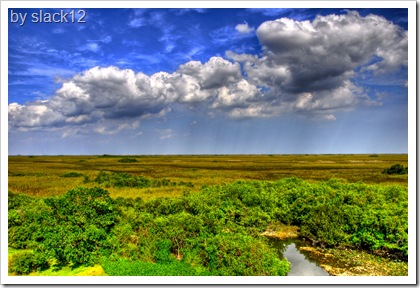 everglades national park facts Everglades National Park. everglades national park facts