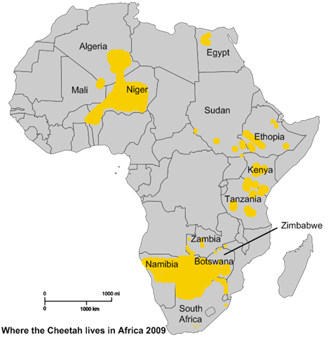 [Cheetah-Range-IUCN-Red-List-Africa-1[4].png]