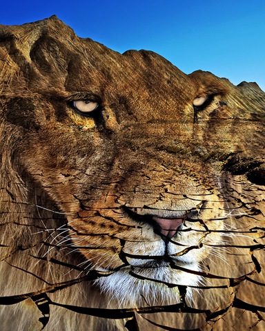 [photo montage and manipulation of lion and landscape - by ViaMoi[3].jpg]
