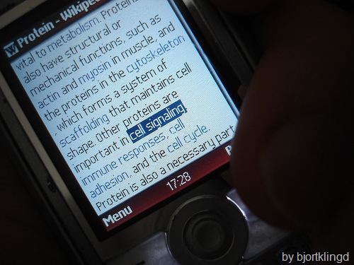 [mobile internet[5].jpg]