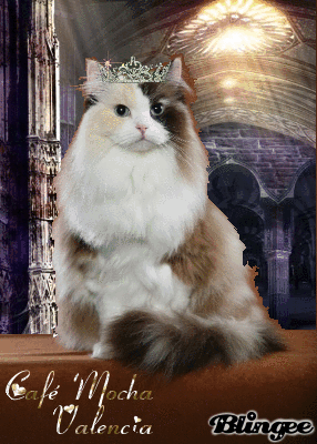 [mocha in fancy dress[3].gif]