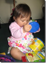 IMG_9231 IMG_9231