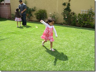 IMG_9226 IMG_9226