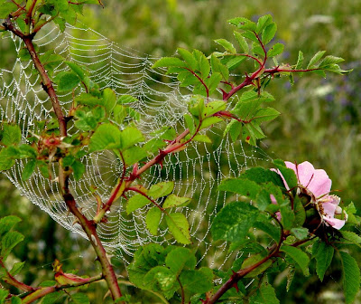 GOTLAND 2004 168.jpg